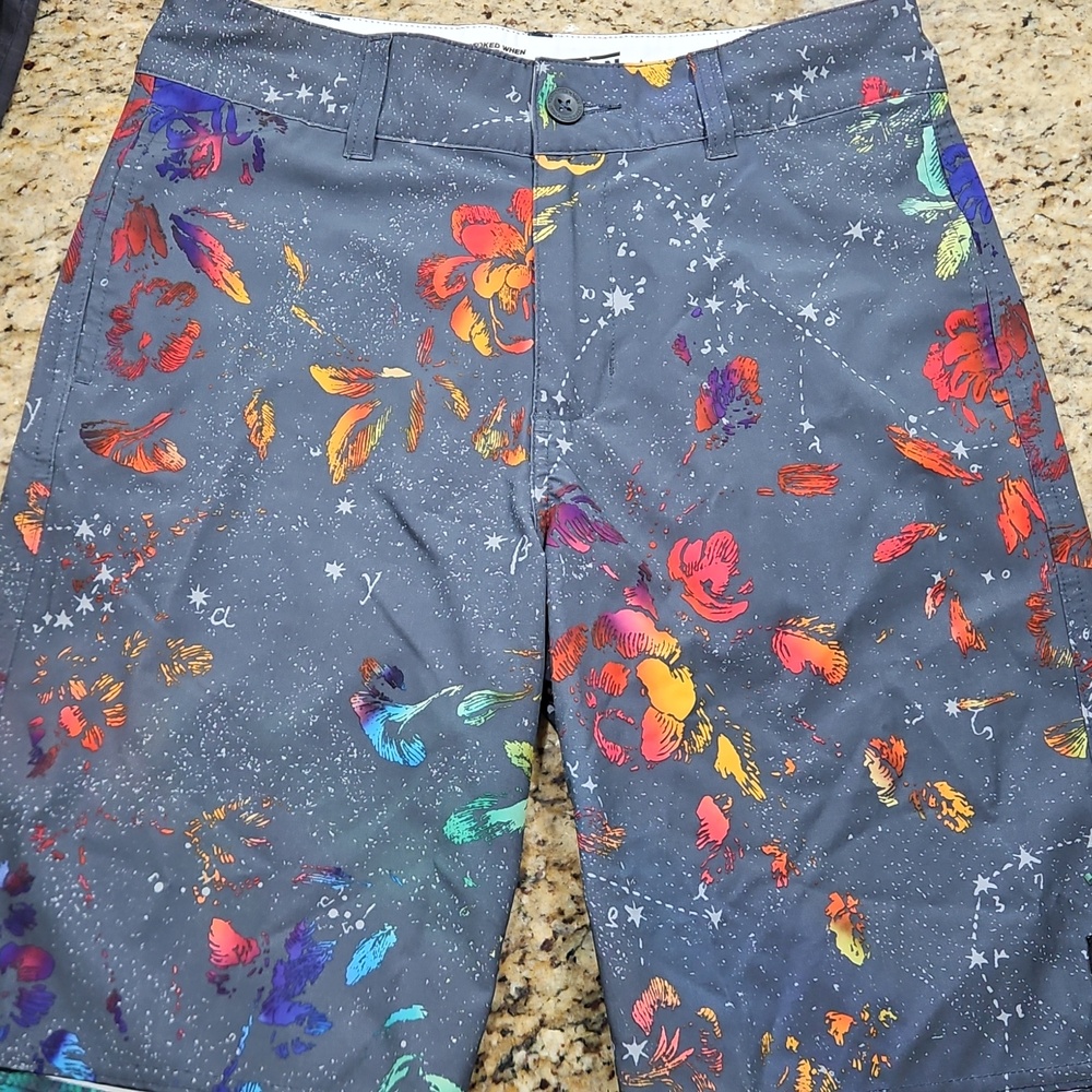 Vans Vanphibian Shorts. 28 Men's Gray
